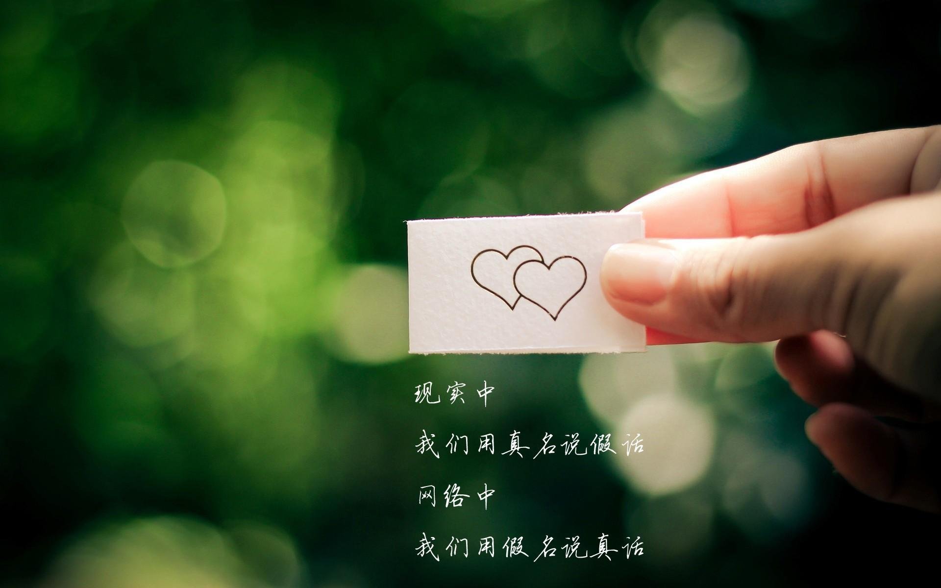 2026 世界杯吉祥物“塔利斯”在中国市场的限量版手办为何引发收藏热?
